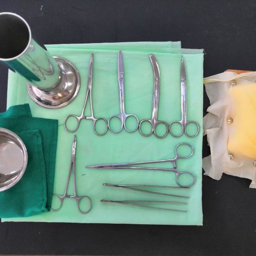 WhatsApp Image 2022-01-05 at 2.00.03 PM