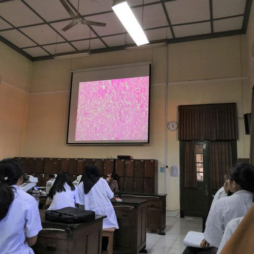 WhatsApp Image 2022-01-05 at 2.00.18 PM