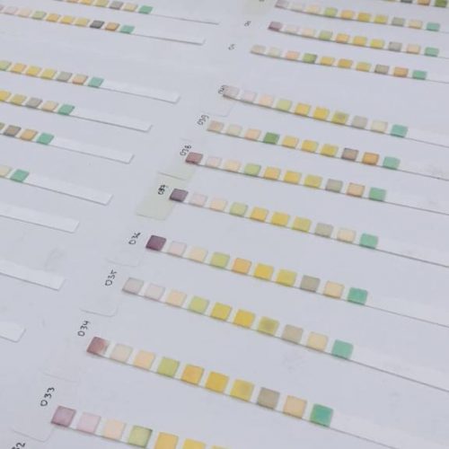 WhatsApp Image 2022-01-05 at 2.01.27 PM (10)