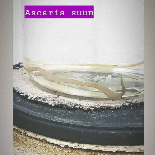 WhatsApp Image 2022-01-05 at 2.01.27 PM (8)