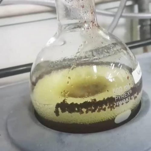 WhatsApp Image 2022-01-05 at 2.01.47 PM (4)