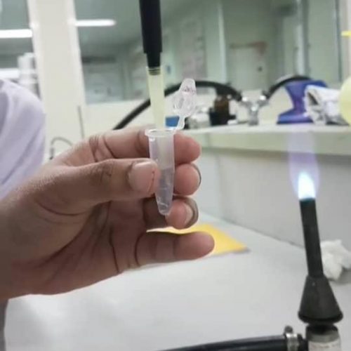 WhatsApp Image 2022-01-05 at 2.01.47 PM (5)